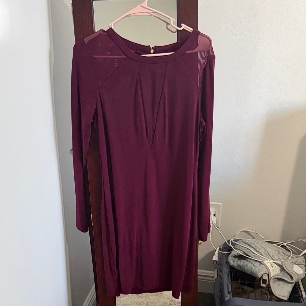 Express Burgundy Long Sleeve Dress